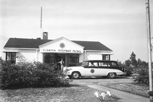 Florida license plate image