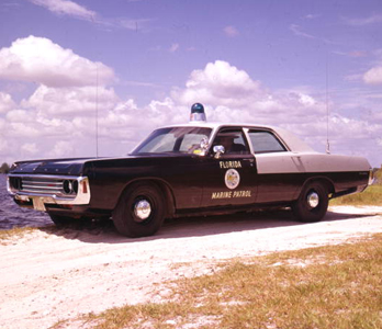 Florida license plate image