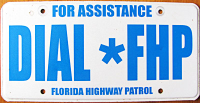 Florida license plate image