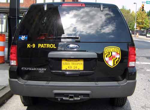 Maryland police license plate