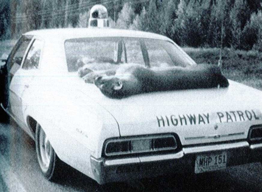 Montana police car image