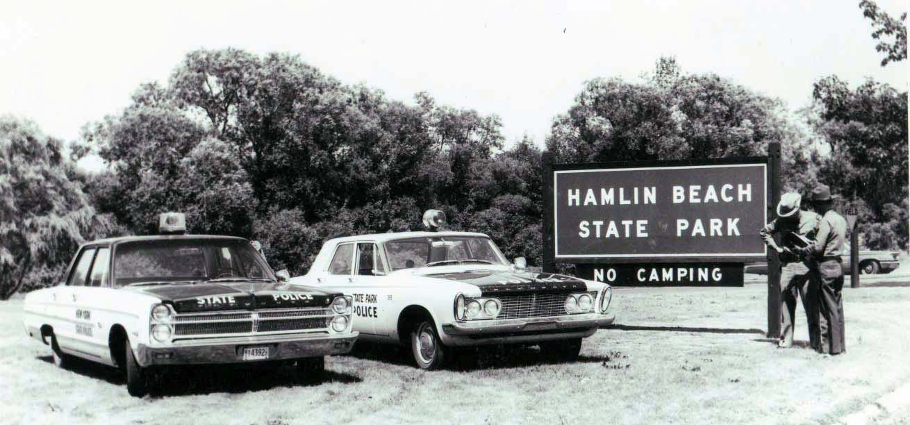 New York license plate image