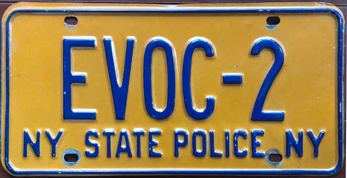 New York license plate image