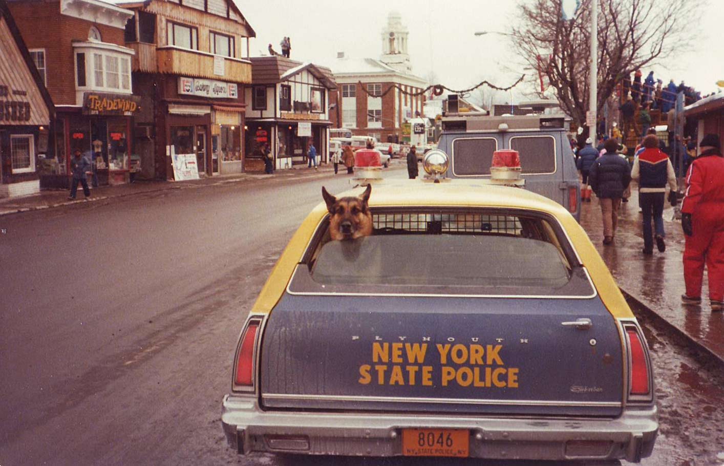 New York license plate image