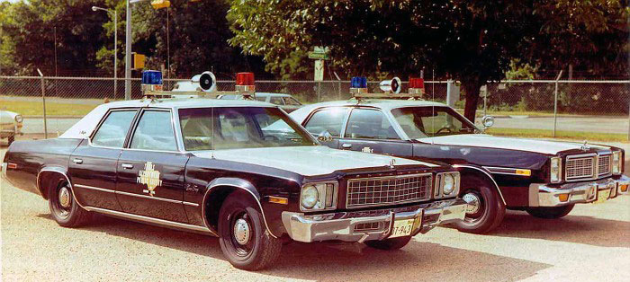 Texas  police license plate image