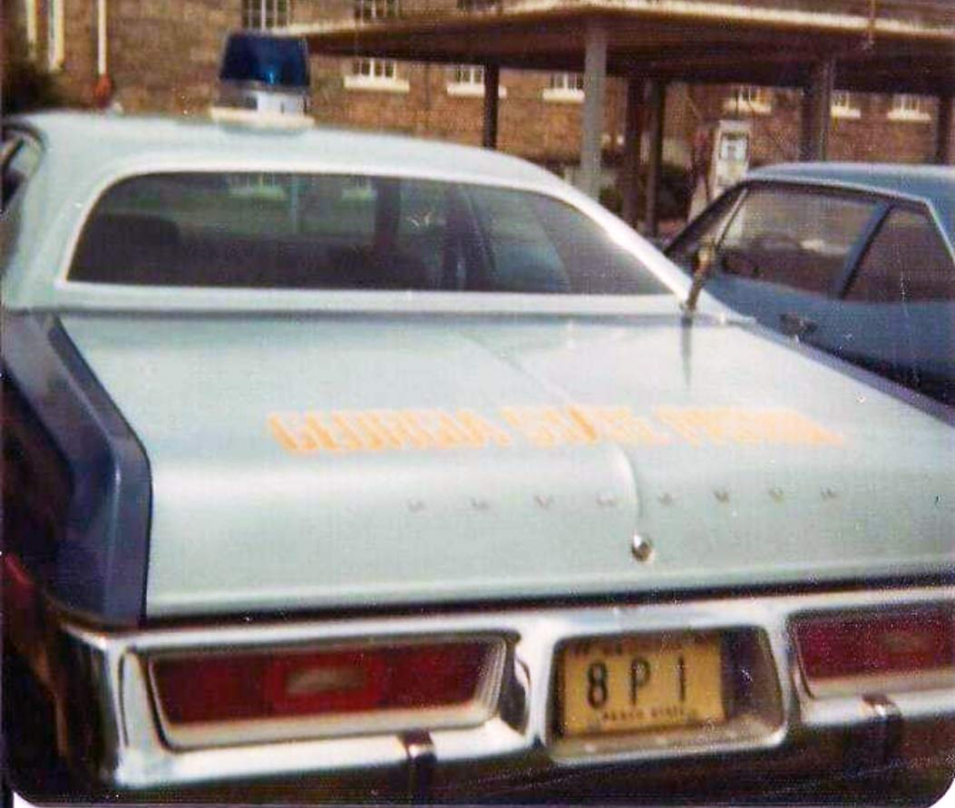 Georgia state police car