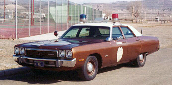 Nevada police car