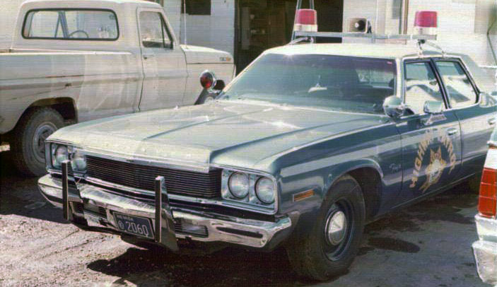 Nevada police license car