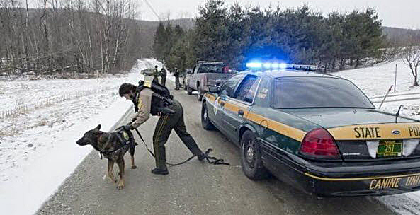 Vermont  police license plate image